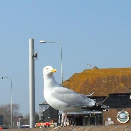 Seaview Cottage 라이 외부 사진